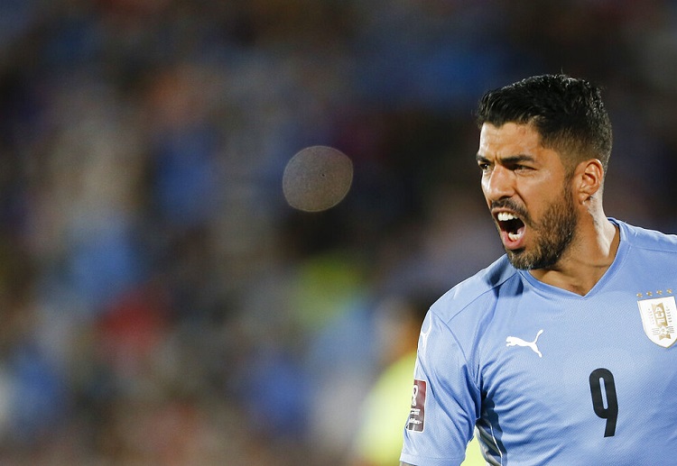 World Cup 2022: Veteran striker Luis Suarez is likely a candidate to start up front vs Peru 