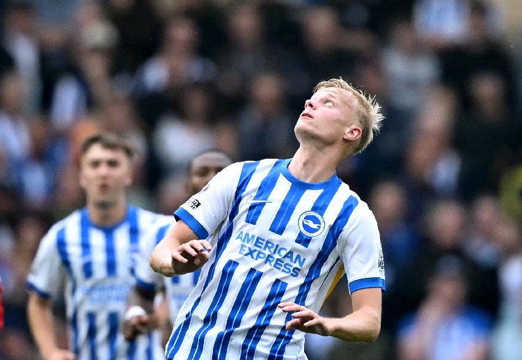 Jan Paul van Hecke remains sidelined for Brighton & Hove Albion’s Premier League matches due to injury